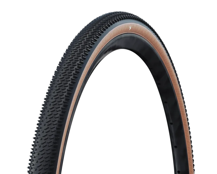 Schwalbe Tires Schwalbe G-One R PRO